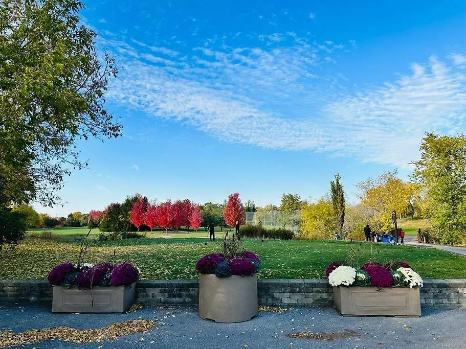 Elegant New Reno Sweet Home Toronto